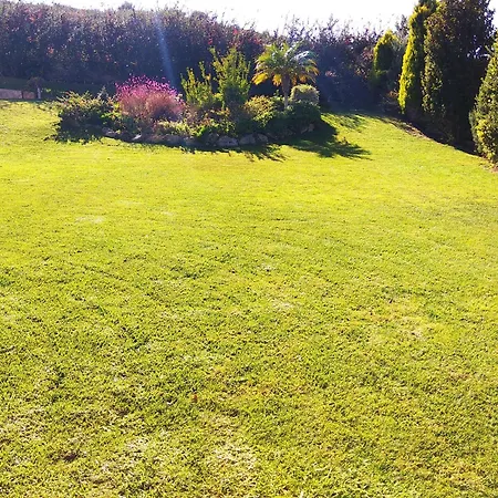 With Garden